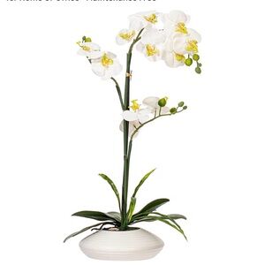 Vickerman 25" Faux White Orchid, White Ceramic Container, NEW
